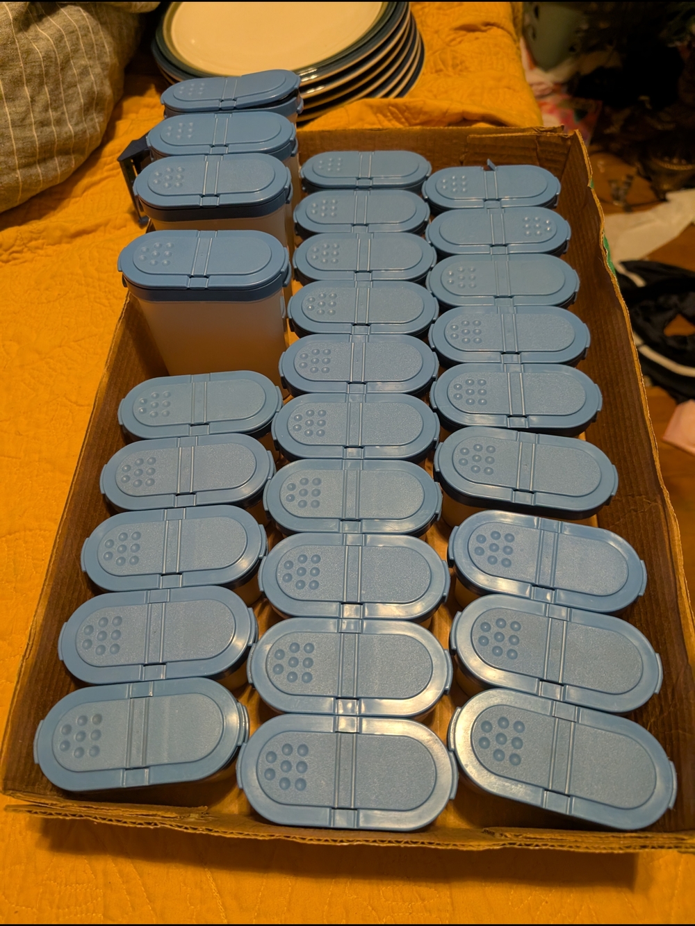Tupperware Light Blue Spice Shaker Set - Multiple Lids
